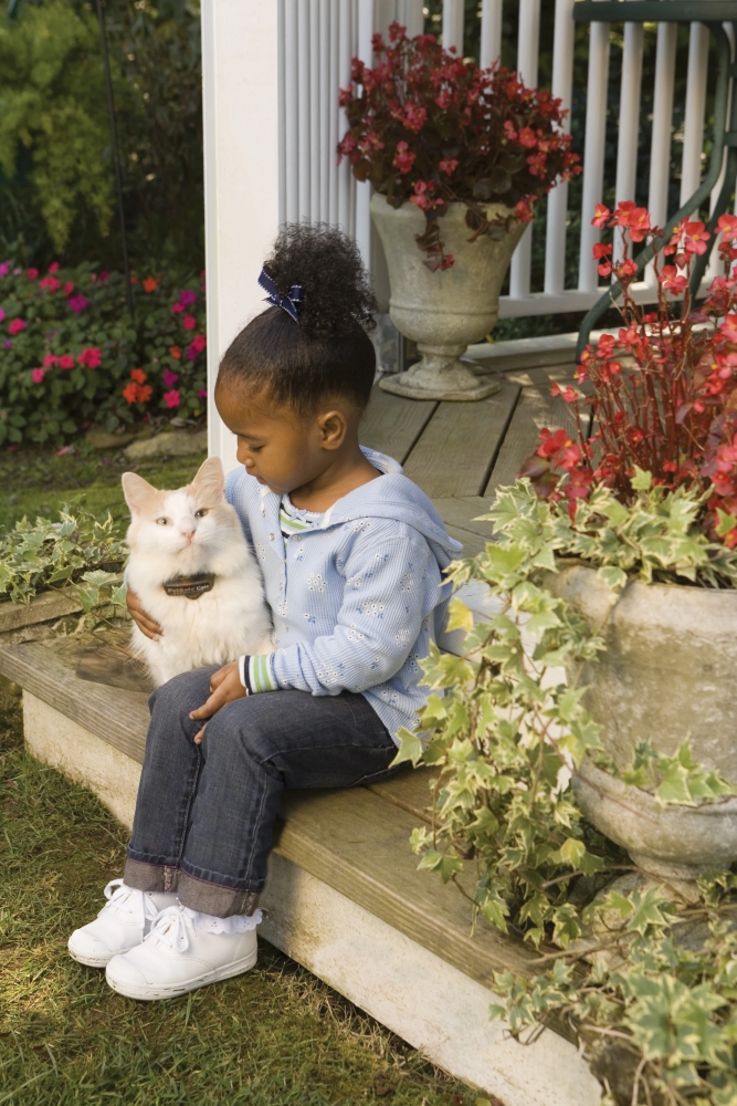 PetSafe® In-Ground Cat Fence